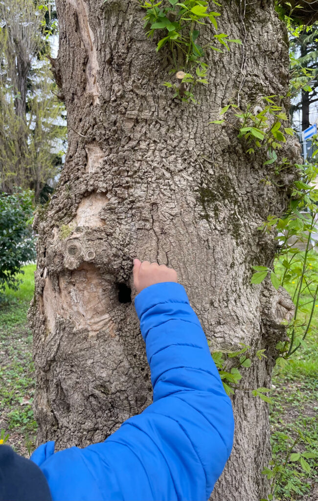 Fotografi di classe Primaria Noventa